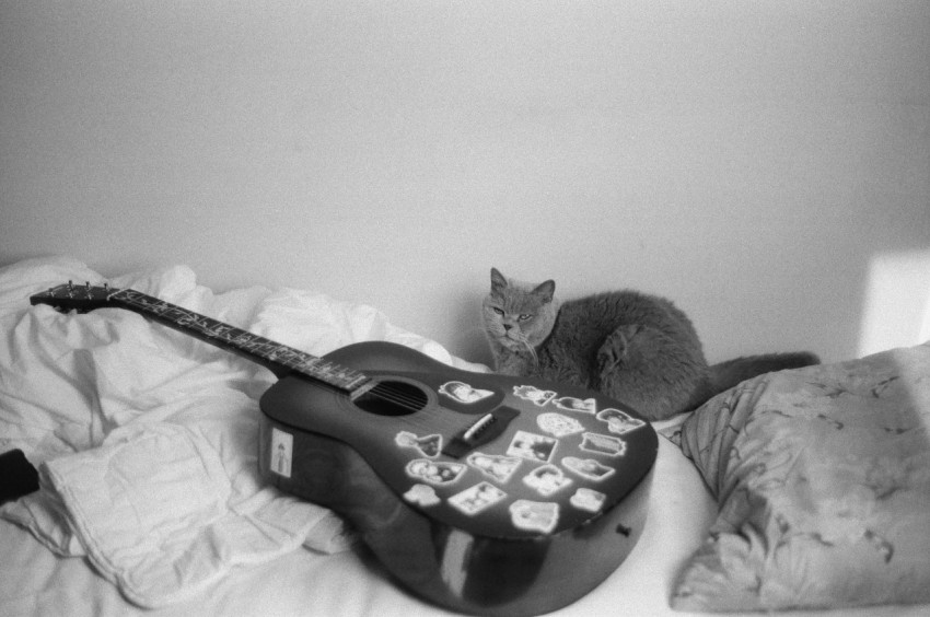 a black and white photo of a guitar and a cat