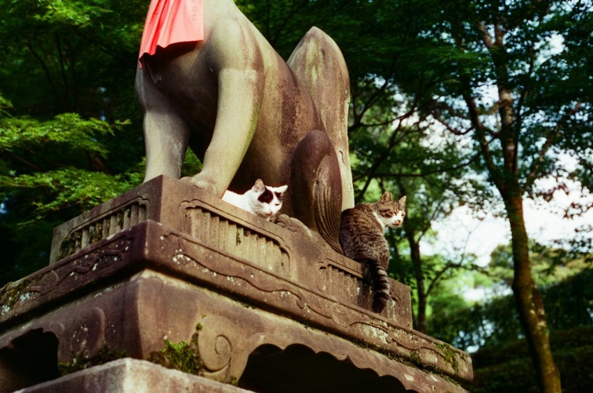 a statue of a dog and a cat in a park