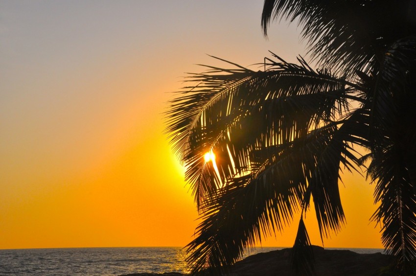 the sun is setting behind a palm tree R