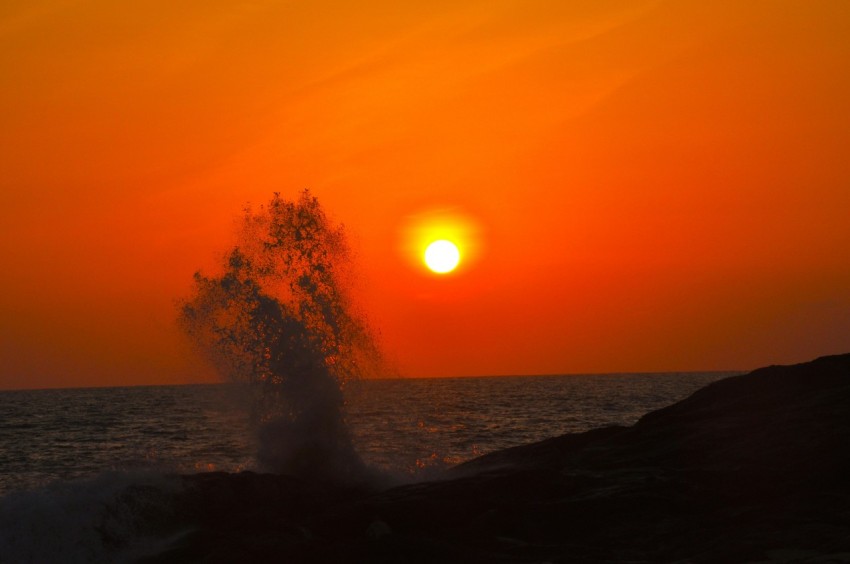 the sun is setting over the ocean with a tree in the foreground