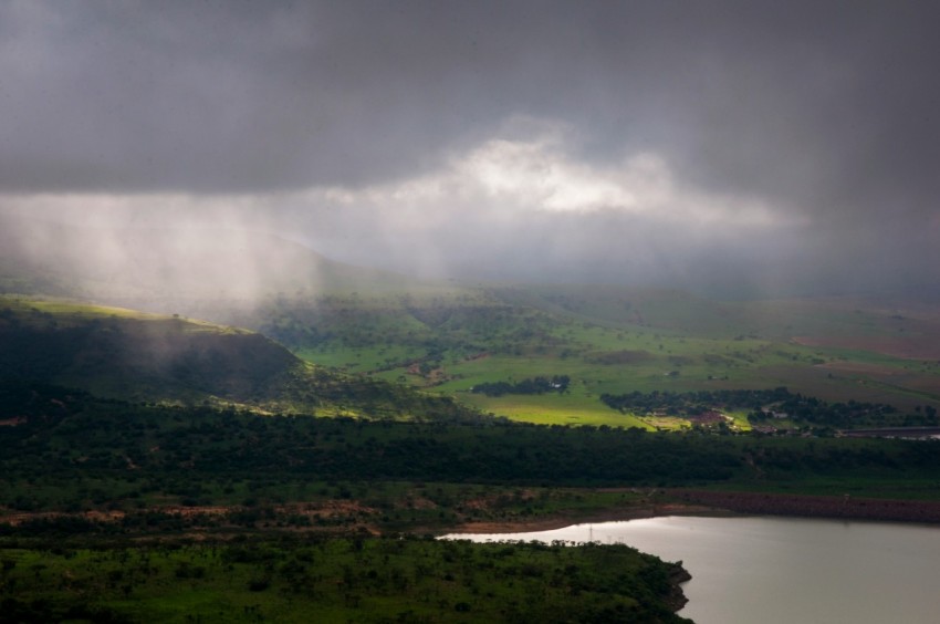 green trees near body of water under white clouds during daytime