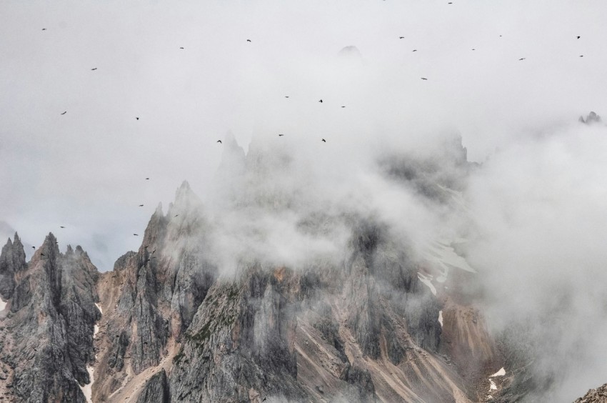 a group of birds flying over a mountain range