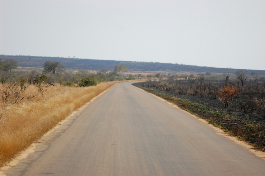 an empty road in the middle of a field