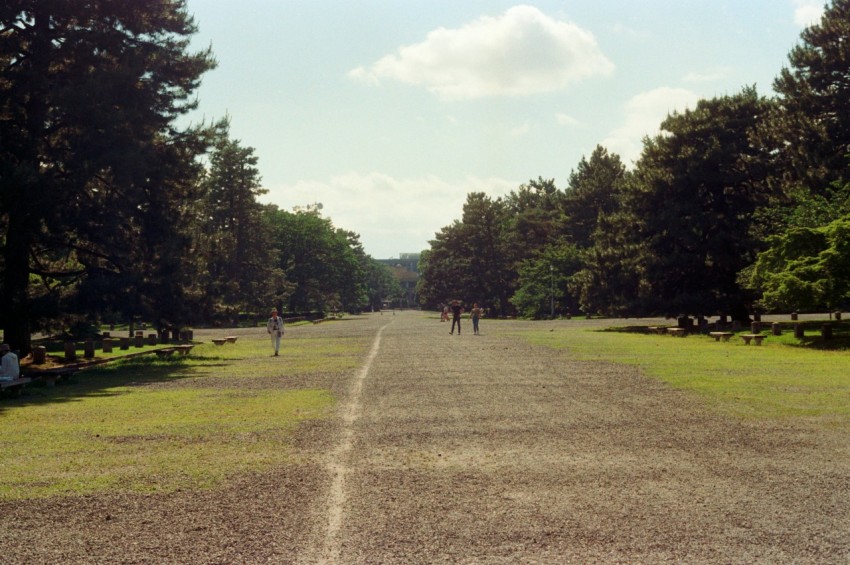 two people walking down the middle of a road