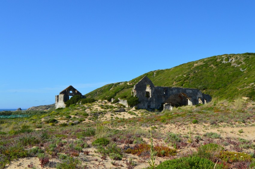 a grassy hill with a house on top of it