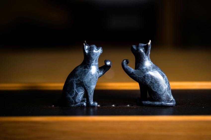 a couple of cats sitting on top of a table