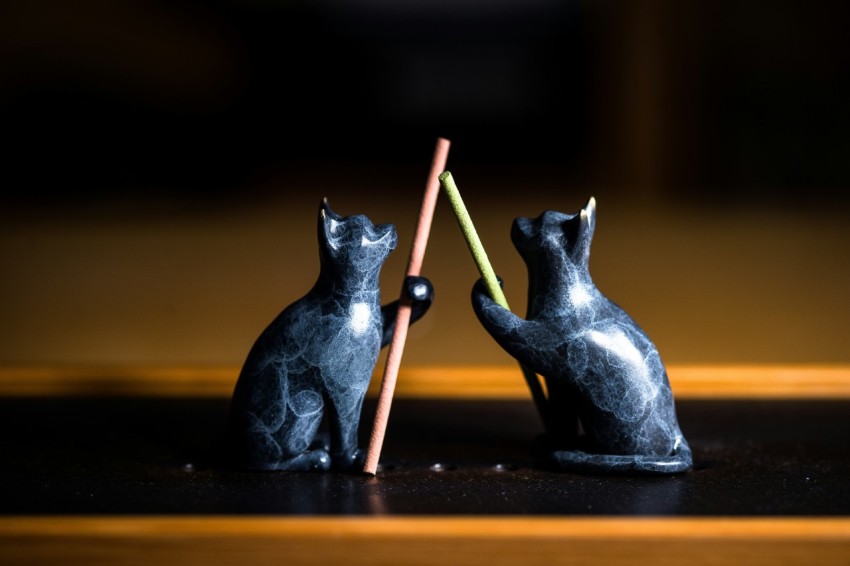 a couple of black cats sitting on top of a table