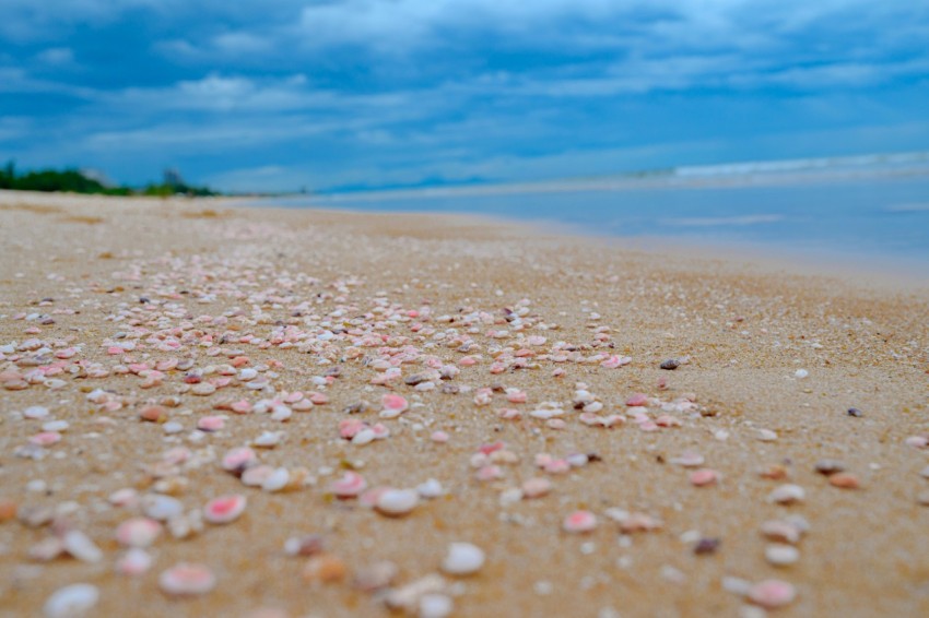 a sandy beach covered in shells under a cloudy blue sky