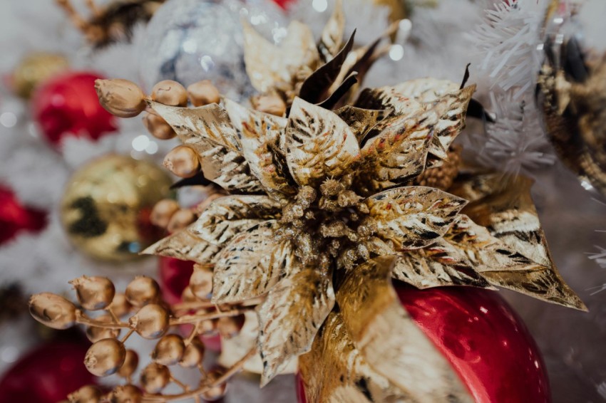 selective focus photography of brown leafed plant