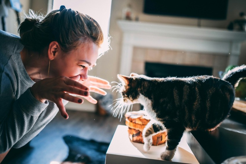 woman in gray sweater holding black and brown cat RMTH29PI