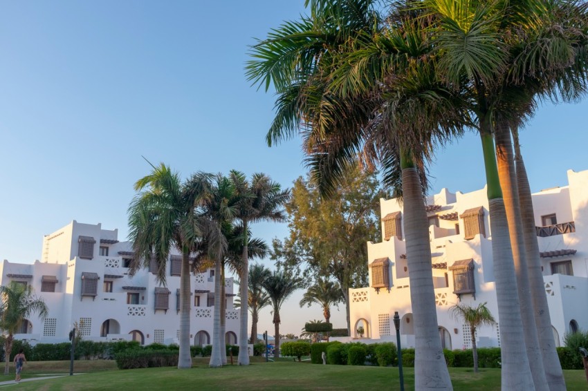 a building with palm trees 1v