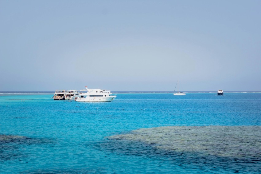 a group of boats in the water