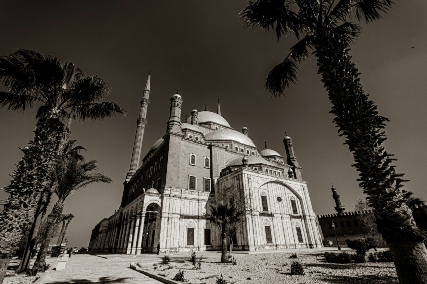 a black and white photo of a large building