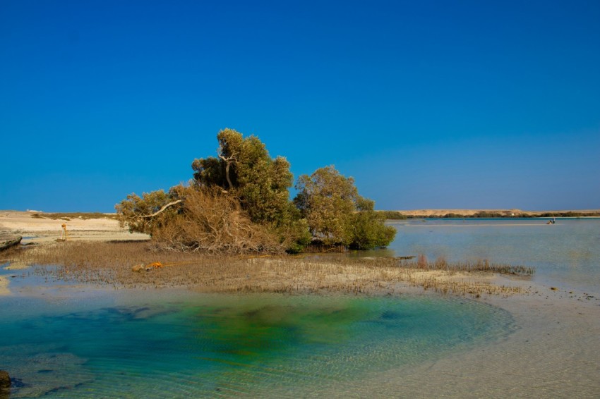 a small island in the water