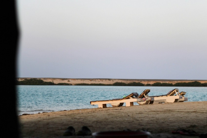 wood bench facing body of water u