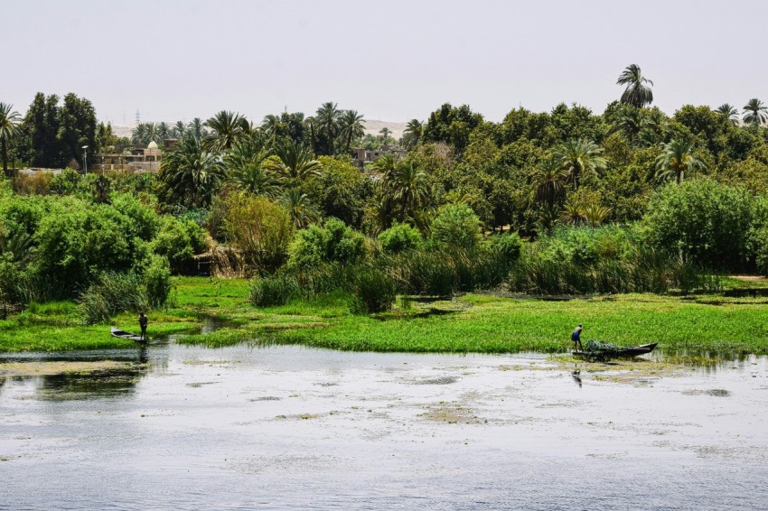 a man in a boat on a river surrounded by trees