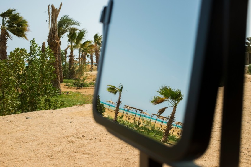 green palm trees under blue sky during daytime