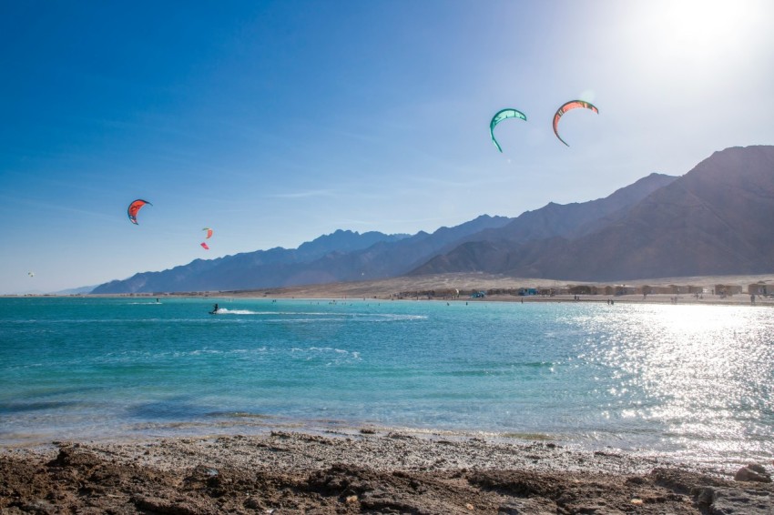 people parasailing on the beach