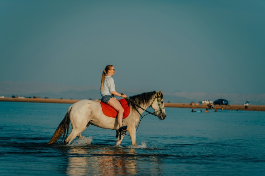 a person riding a horse in the water