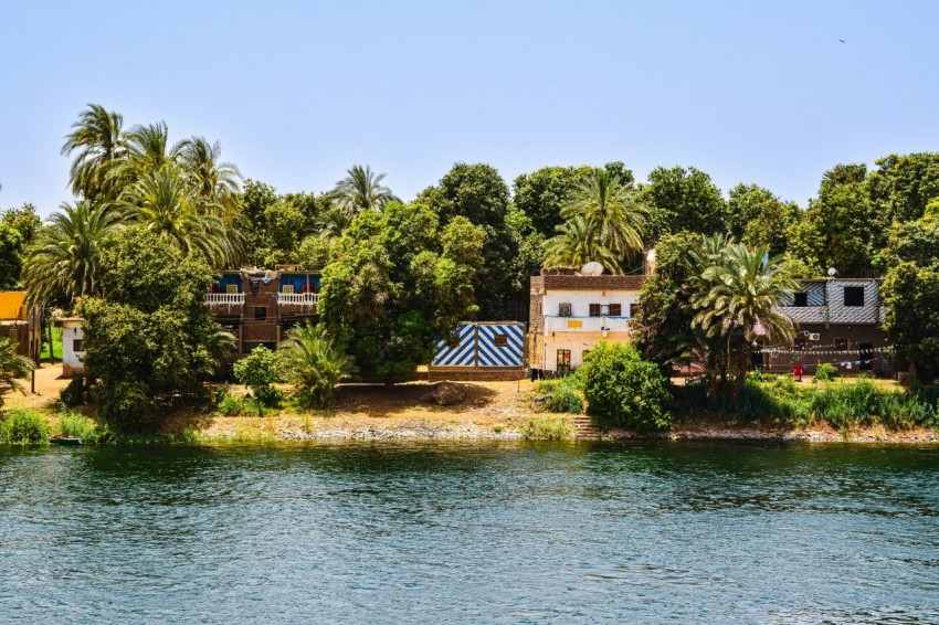 a body of water with trees and buildings around it