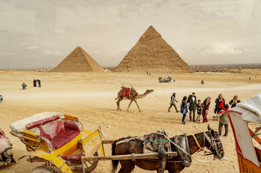 people riding camel on brown sand during daytime