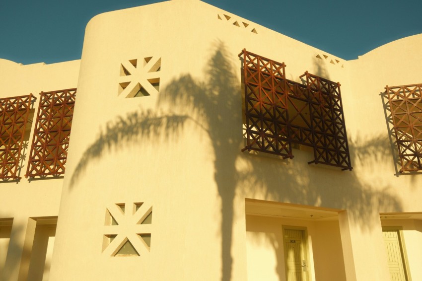 a building with a palm tree in front of it