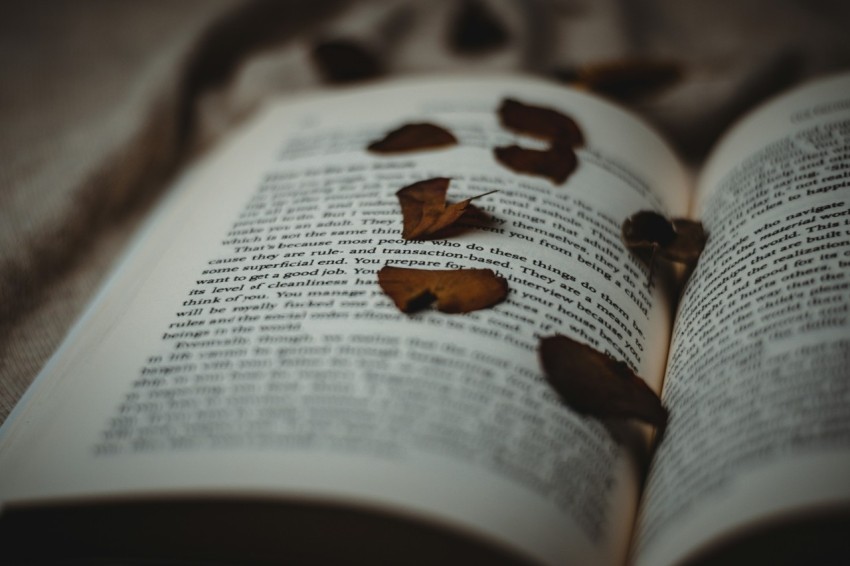 an open book with leaves on top of it