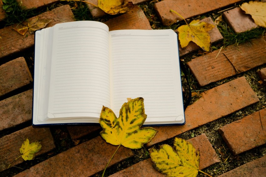 yellow flower on white book page