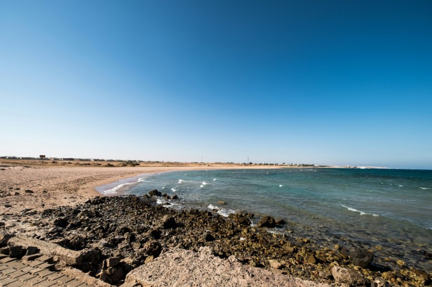 brown sand beach under blue sky during daytime