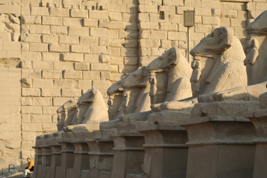 a row of statues of rams in front of a brick wall