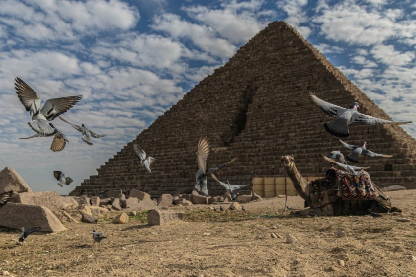 a group of birds flying around a pyramid