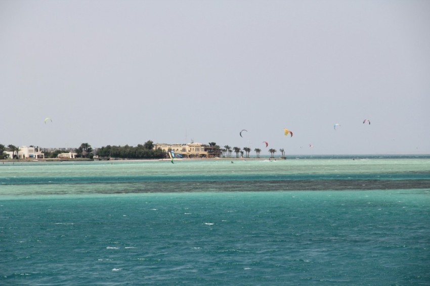 a group of people flying kites over the ocean