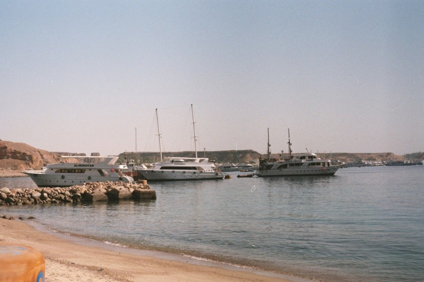 a group of boats that are sitting in the water