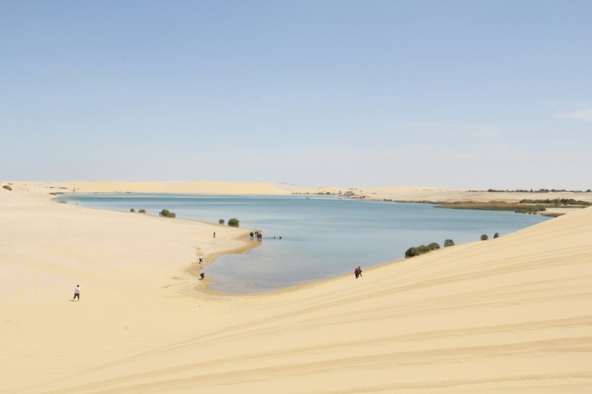 a group of people standing on top of a sandy beach