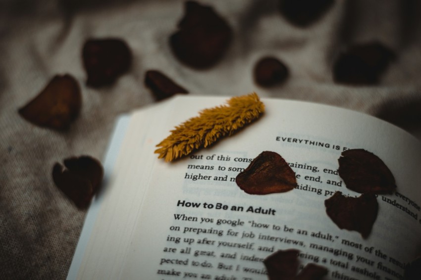 a book with a leaf laying on top of it