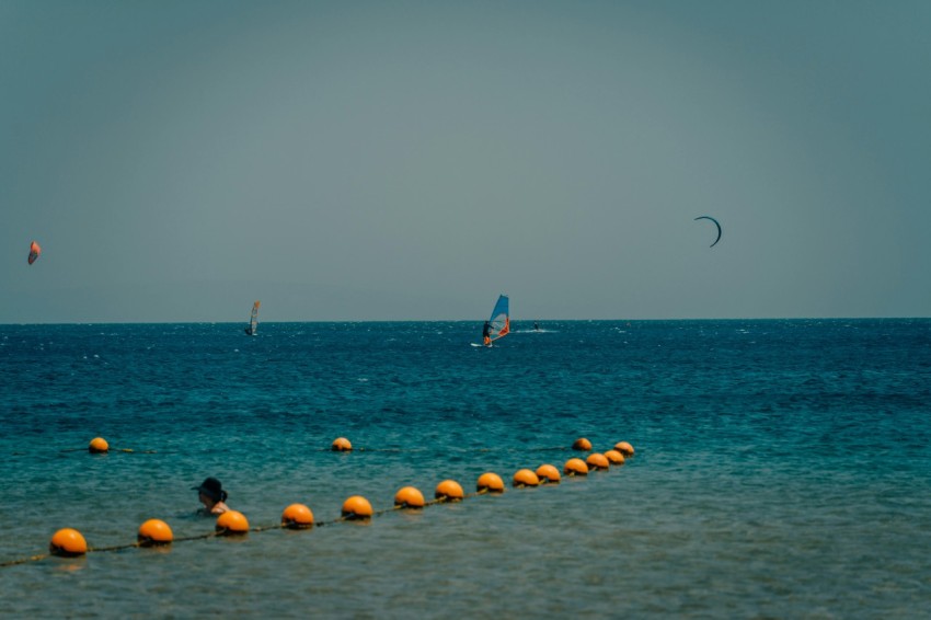 a group of people parasailing on the water