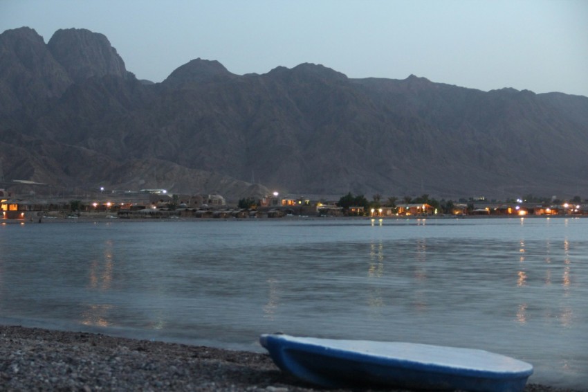 a blue surfboard sitting on the shore of a lake