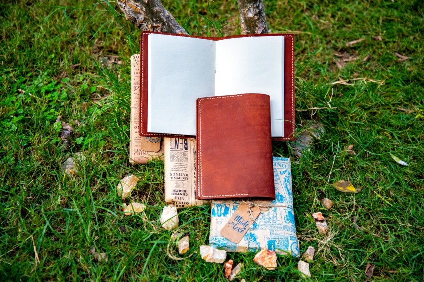 a group of books on the grass