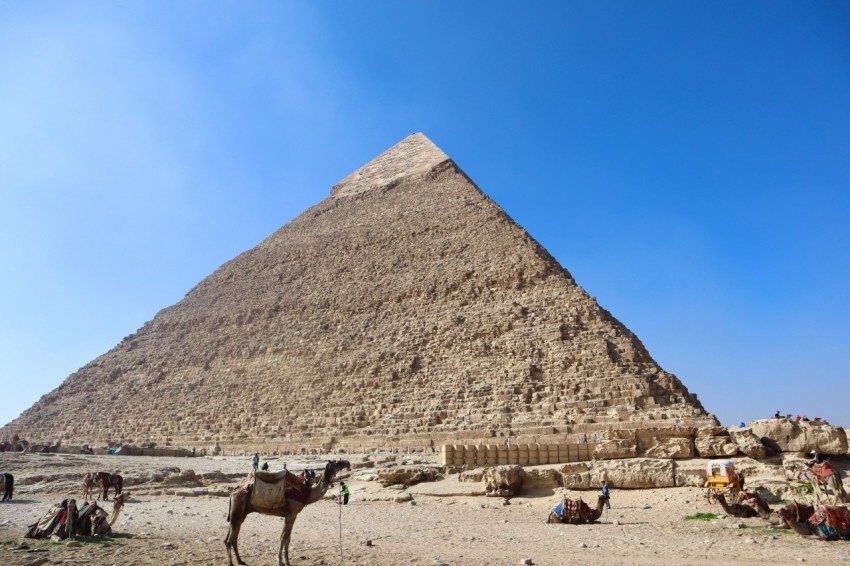 a camel standing in front of a very tall pyramid