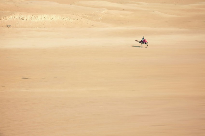 man riding brown camel on desert