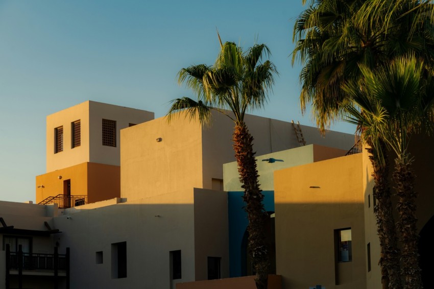 a building with palm trees in front of it