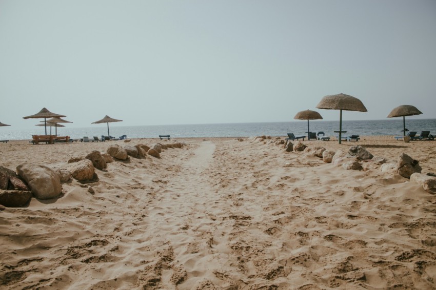 umbrellas on a beach