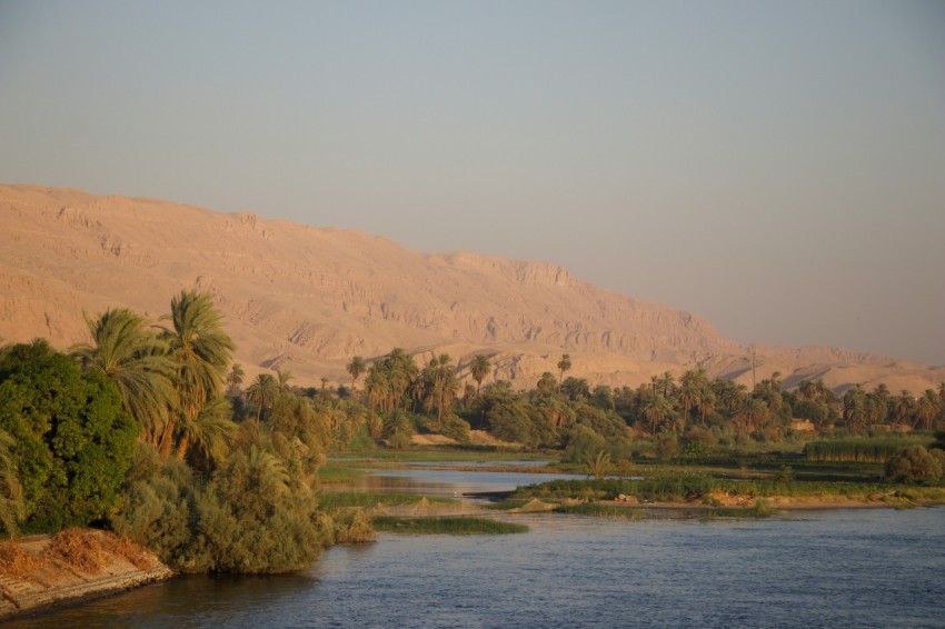 a body of water surrounded by palm trees