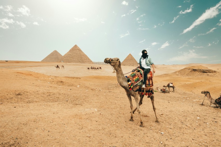 man riding camel