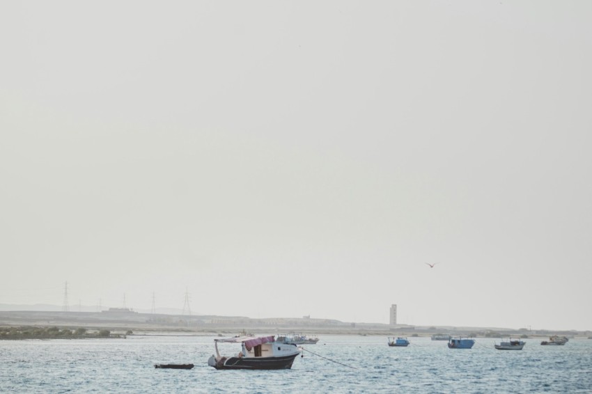 red and white boat on sea during daytime