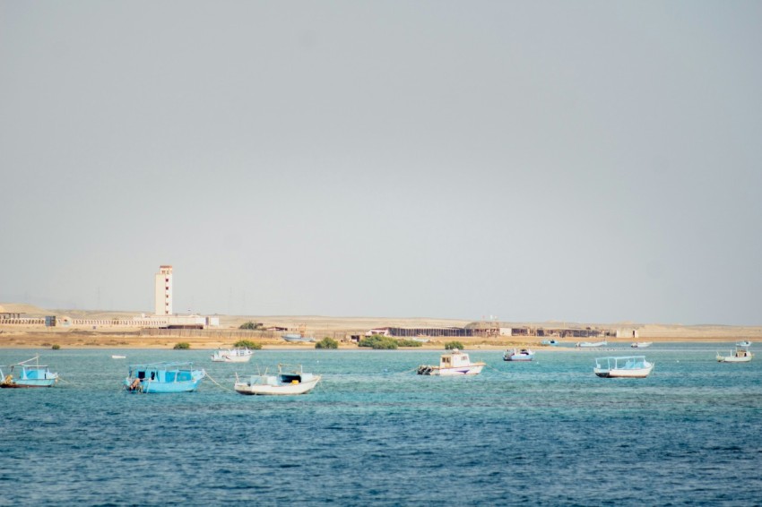 people on beach during daytime