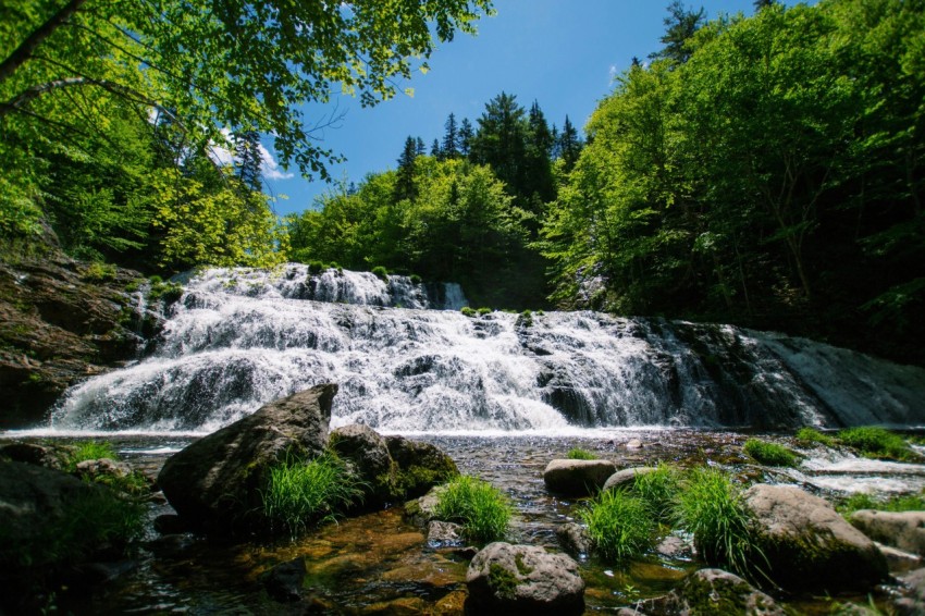 a small waterfall in the middle of a forest