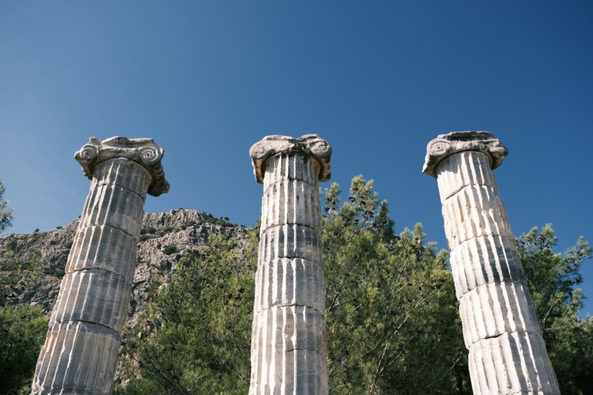 stone pillars with trees in the background