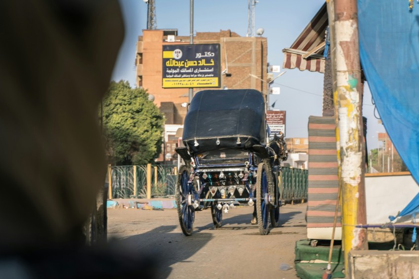 a horse drawn carriage on a city street