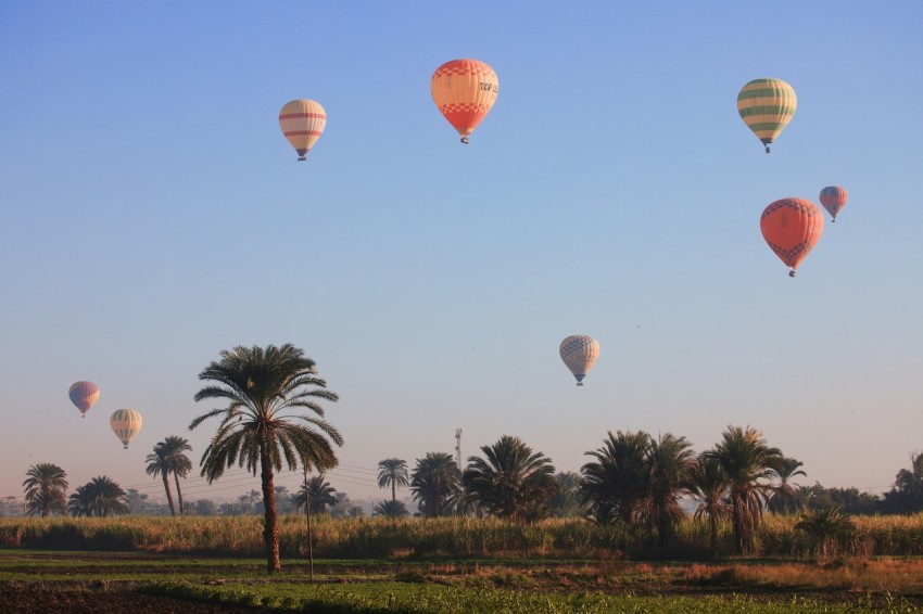 a bunch of hot air balloons flying in the sky